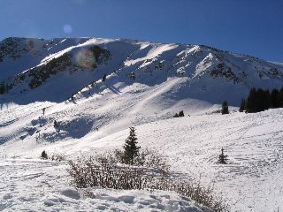 Avalanche chutes and the tele-practice hill