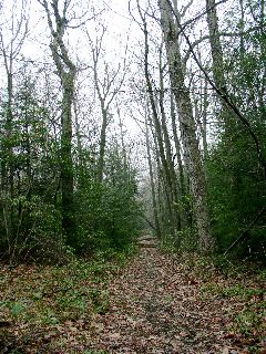 Hiking through the St. Anthony's Wilderness