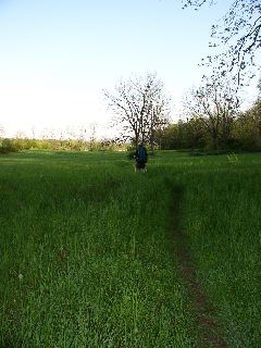 Mile upon mile of field walking.